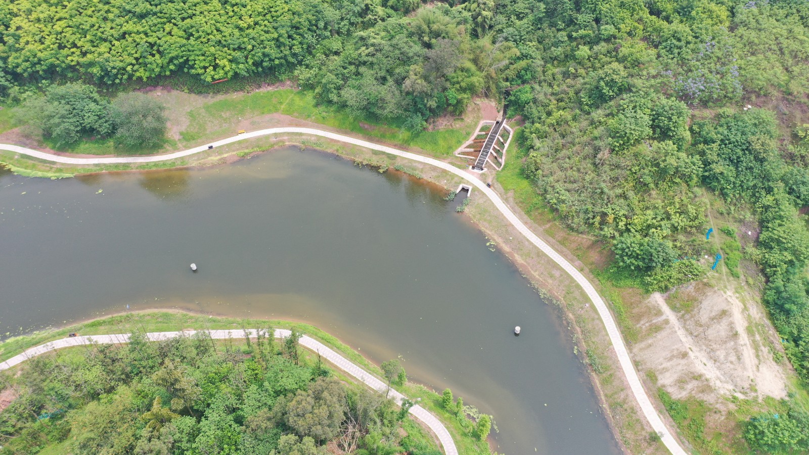 2026世界杯园林绿化维护